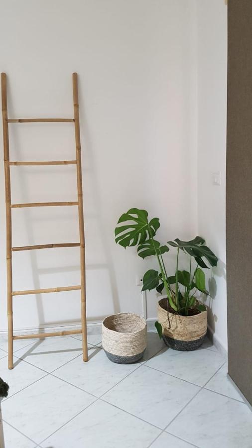 La Ceiba Speciosa Bed & Breakfast Capaccio Ngoại thất bức ảnh