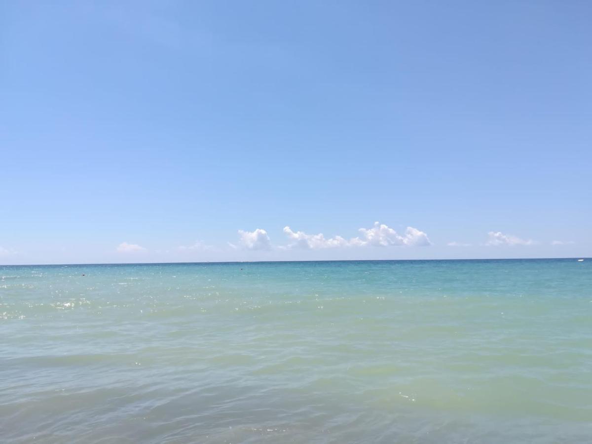 La Ceiba Speciosa Bed & Breakfast Capaccio Ngoại thất bức ảnh